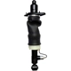 Purchase Top-Quality FCS AUTOMOTIVE - 99003 - Air Suspension Strut pa1