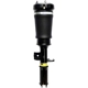 Purchase Top-Quality FCS AUTOMOTIVE - 99023 - Air Suspension Strut pa1