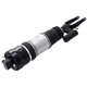 Purchase Top-Quality FCS AUTOMOTIVE - 99052 - Air Suspension Strut pa2