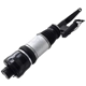 Purchase Top-Quality FCS AUTOMOTIVE - 99053 - Air Suspension Strut pa3