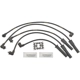 Purchase Top-Quality BLUE STREAK (HYGRADE MOTOR) - 10060 - Spark Plug Wire Set pa1