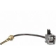 Purchase Top-Quality BLUE STREAK (HYGRADE MOTOR) - TS431 - Capteur de température pa17