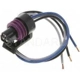 Purchase Top-Quality Connecteur du capteur de position du papillon by BLUE STREAK (HYGRADE MOTOR) - HP4440 pa14