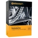 Purchase Top-Quality CONTINENTAL - PP317LK2 - Timing Kit pa3