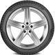 Purchase Top-Quality WINTER 19" Tire 255/40R19 by PIRELLI pa19