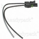 Purchase Top-Quality Connecteur de boîte de transfert by BLUE STREAK (HYGRADE MOTOR) - HP4375 pa13