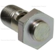 Purchase Top-Quality Matériel de turbocompresseur by BLUE STREAK (HYGRADE MOTOR) - TBB100 pa2