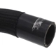 Purchase Top-Quality DORMAN (OE SOLUTIONS) - 626-772 - Radiator Coolant Hose pa4