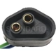 Purchase Top-Quality BLUE STREAK (HYGRADE MOTOR) - S573 - Connecteur du régulateur de tension pa1