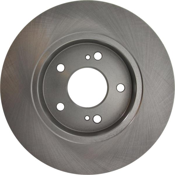 Rear Disc Brake Rotor